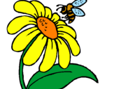 Disegno Margherita con ape  pitturato su ALE