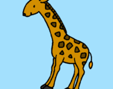 Disegno Giraffa  pitturato su elena