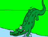 Disegno Alligatore che entra nell'acqua  pitturato su matteo