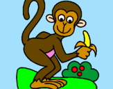 Disegno Scimmietta  pitturato su viki