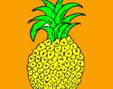 Disegno ananas  pitturato su ANDREA