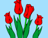 Disegno Tulipani  pitturato su viola