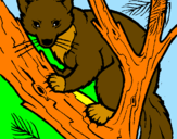 Disegno Martora europea su un albero  pitturato su orso