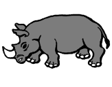 Disegno Rinoceronte  pitturato su federico