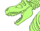 Disegno Scheletro di Tyrannosaurus rex pitturato su maxi