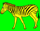 Disegno Zebra  pitturato su Gianluca