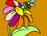 Disegno Margherita con ape  pitturato su ileana