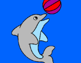Disegno Delfino con una palla  pitturato su ricki