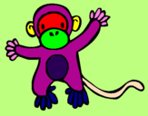 Disegno Scimmietta pitturato su cocce