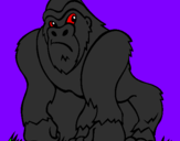 Disegno Gorilla pitturato su marghe