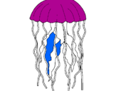 Disegno Medusa  pitturato su fabio