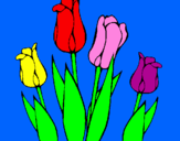 Disegno Tulipani  pitturato su Francesca  