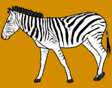 Disegno Zebra  pitturato su gabriele fasone