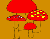 Disegno Funghi pitturato su michele