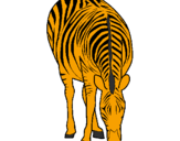Disegno Zebra  pitturato su LEONARDO