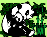 Disegno Mamma panda  pitturato su chiara