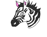 Disegno Zebra II pitturato su aurora