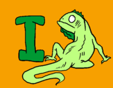 Disegno Iguana  pitturato su evelyn