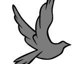 Disegno Colomba della pace in volo pitturato su Nicolò