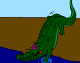 Disegno Alligatore che entra nell'acqua  pitturato su izioshow