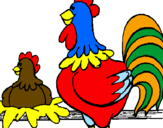 Disegno Gallo e gallina  pitturato su GABRIELE