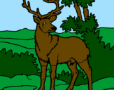 Disegno Cervo adulto  pitturato su la famiglia di giuseppe