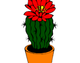 Disegno Cactus fiorito  pitturato su giorgia
