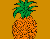 Disegno ananas  pitturato su NICOLA