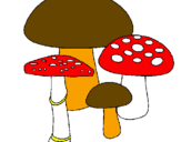 Disegno Funghi pitturato su LINDA