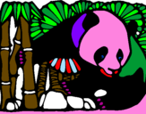 Disegno Orso panda con bambù  pitturato su Adele