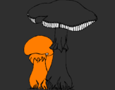 Disegno Funghi pitturato su semmy