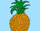 Disegno ananas  pitturato su ottavio da mottola