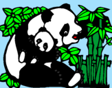 Disegno Mamma panda  pitturato su vale