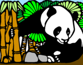 Disegno Orso panda con bambù  pitturato su veronica