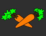 Disegno carote  pitturato su tommaso