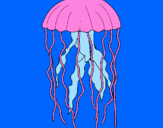Disegno Medusa  pitturato su nike12