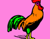 Disegno Gallo gagliardo  pitturato su chiara