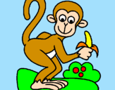 Disegno Scimmietta  pitturato su rossy