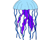Disegno Medusa  pitturato su silvia