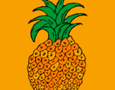 Disegno ananas  pitturato su Annarita