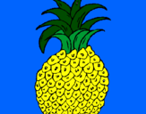 Disegno ananas  pitturato su Giulia D