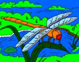 Disegno Libellula pitturato su l insetto