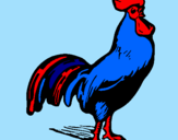 Disegno Gallo gagliardo  pitturato su pilli