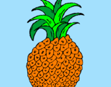 Disegno ananas  pitturato su beatrice