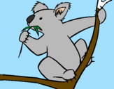 Disegno Koala  pitturato su Titti