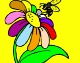 Disegno Margherita con ape  pitturato su MARTINA   VALSECCHI