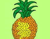 Disegno ananas  pitturato su viviana