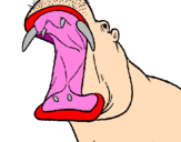 Disegno Ippopotamo a bocca aperta  pitturato su ipposabro