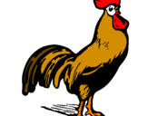 Disegno Gallo gagliardo  pitturato su gallina
