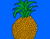 Disegno ananas  pitturato su francesca
